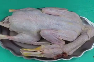 Bí quyết làm món vịt không hôi lông đơn giản và hiệu quả