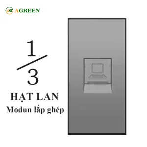 Hạt mạng LAN âm tường 1/3 module AGREEN
