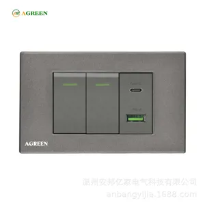 Ổ cắm âm tường 16A AGREEN 118-23 2 nút + 1 cổng Type-C mặt PC